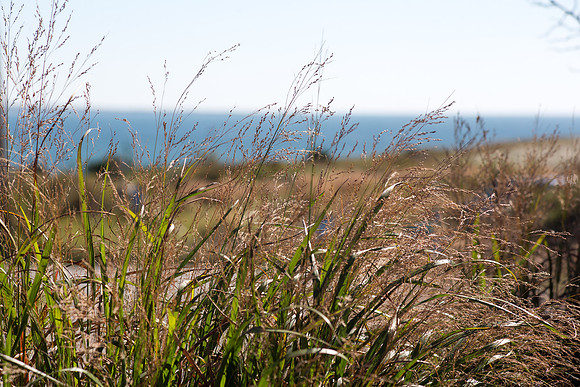 20141005 Sun 1 MA Martha's Vineyard 8T5A3950