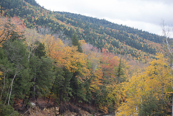 20141008 Wed 3 NH Conway 8T5A5067