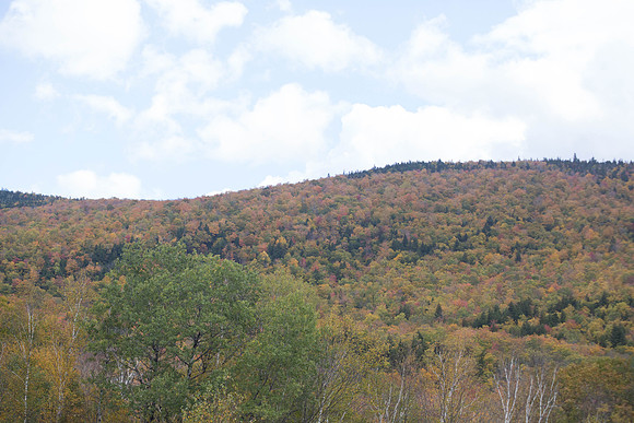 20141008 Wed 3 NH Conway 8T5A5088