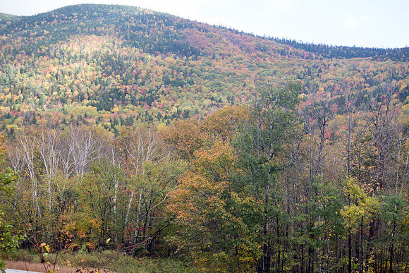 20141008 Wed 3 NH Conway 8T5A5101