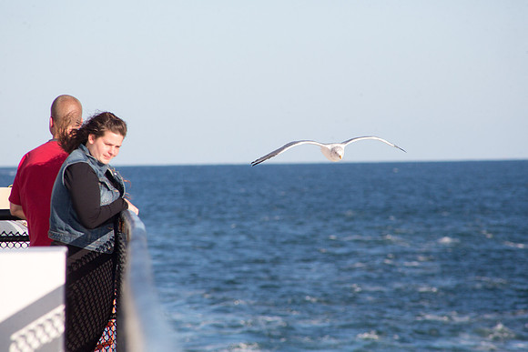20141005 Sun 1 MA Martha's Vineyard 8T5A4118