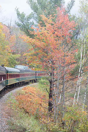 20141008 Wed 3 NH Conway 8T5A5072