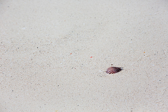 1206_8T5A8375