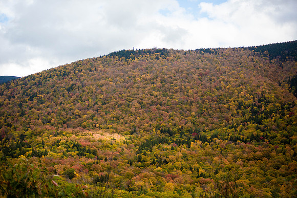 20141008 Wed 3 NH Conway 8T5A5185