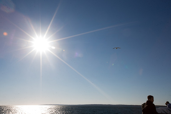 20141005 Sun 1 MA Martha's Vineyard 8T5A4033
