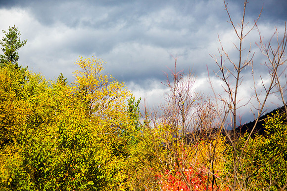 20141008 Wed 3 NH Conway 8T5A5253