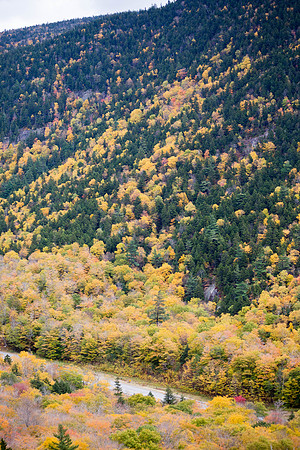 20141008 Wed 3 NH Conway 8T5A5353
