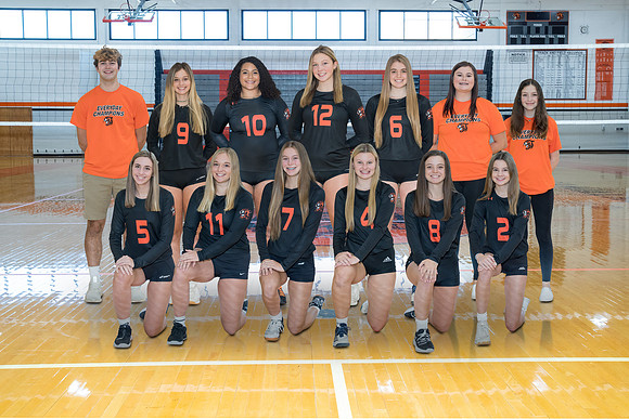 Volleyball VAR