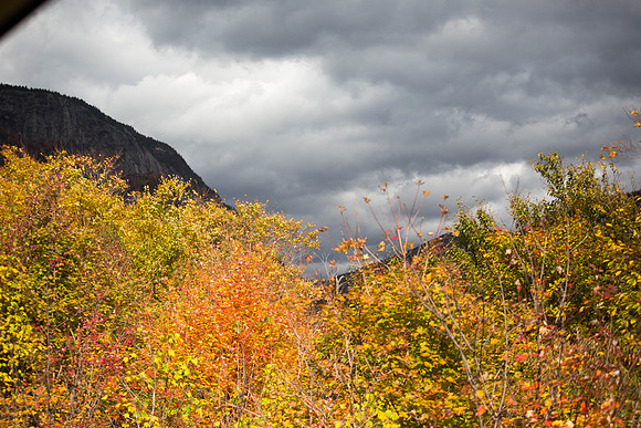 20141008 Wed 3 NH Conway 8T5A5270