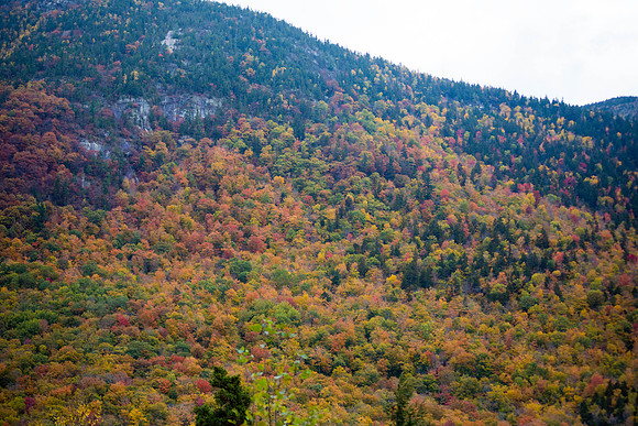 20141008 Wed 3 NH Conway 8T5A5223
