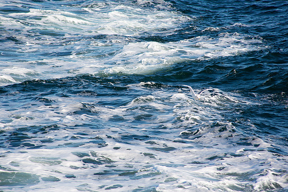 20141005 Sun 1 MA Martha's Vineyard 8T5A4107