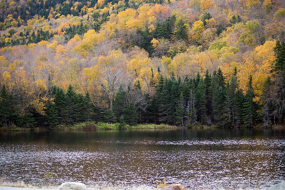 20141008 Wed 3 NH Conway 8T5A5446