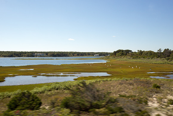 20141005 Sun 1 MA Martha's Vineyard 8T5A3815
