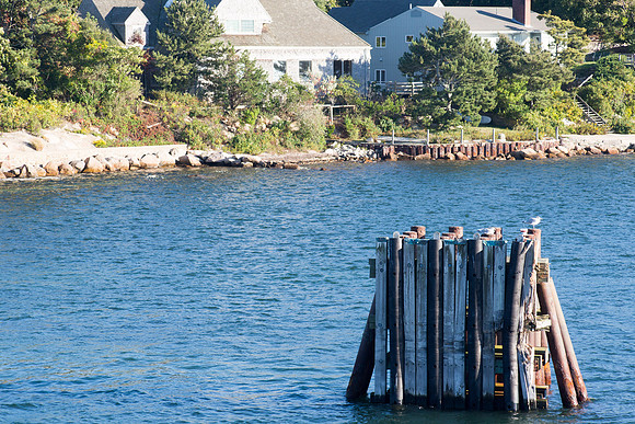 20141005 Sun 1 MA Martha's Vineyard 8T5A4160