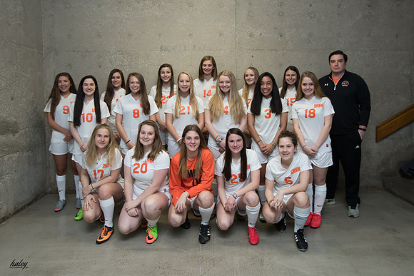 Soccer Girls JV 0 Team AN0I9504