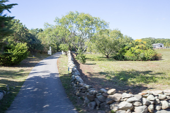 20141005 Sun 1 MA Martha's Vineyard 8T5A3893