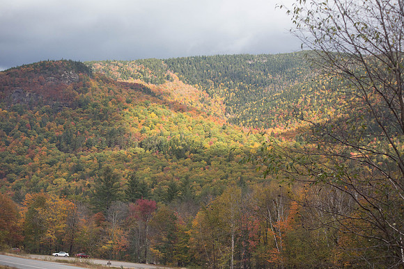 20141008 Wed 3 NH Conway 8T5A5097