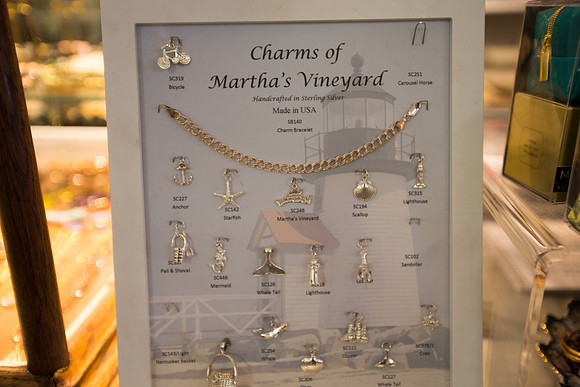 20141005 Sun 1 MA Martha's Vineyard 8T5A3853