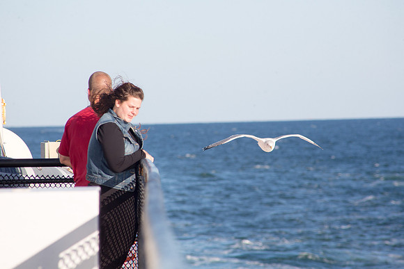 20141005 Sun 1 MA Martha's Vineyard 8T5A4116