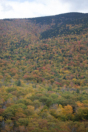 20141008 Wed 3 NH Conway 8T5A5169