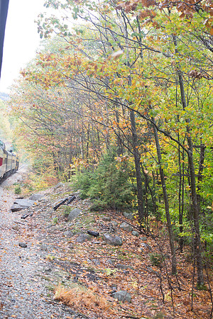 20141008 Wed 3 NH Conway 8T5A5119