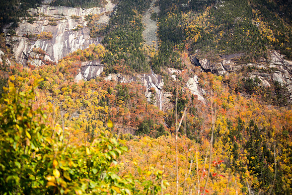 20141008 Wed 3 NH Conway 8T5A5282