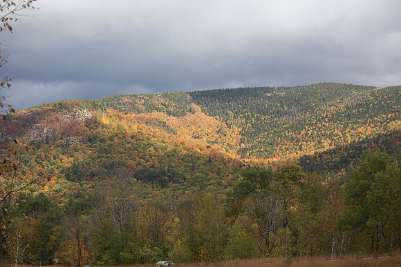 20141008 Wed 3 NH Conway 8T5A5079