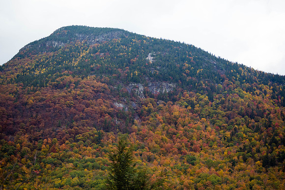 20141008 Wed 3 NH Conway 8T5A5229
