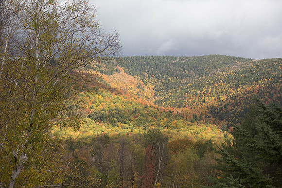 20141008 Wed 3 NH Conway 8T5A5094