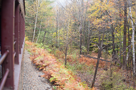 20141008 Wed 3 NH Conway 8T5A5031