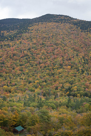 20141008 Wed 3 NH Conway 8T5A5166