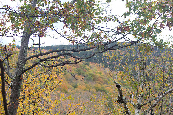 20141008 Wed 3 NH Conway 8T5A5049
