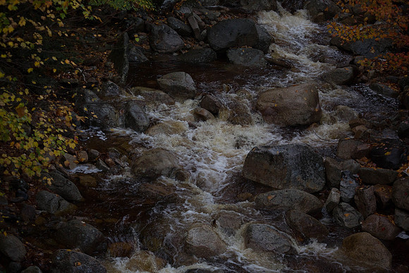 20141008 Wed 3 NH Conway 8T5A5139