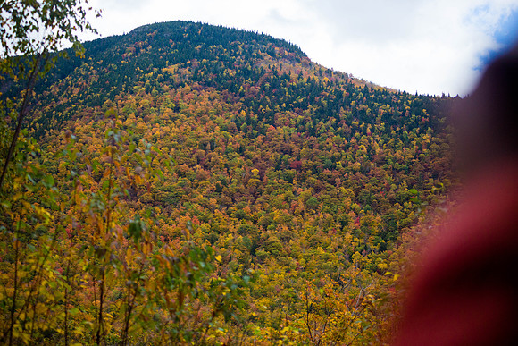 20141008 Wed 3 NH Conway 8T5A5213