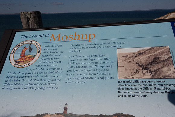 20141005 Sun 1 MA Martha's Vineyard 8T5A3911