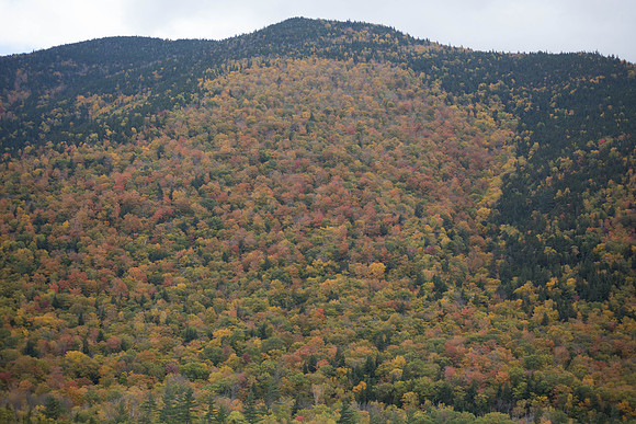 20141008 Wed 3 NH Conway 8T5A5164