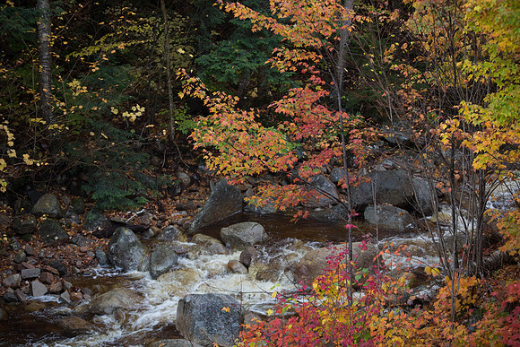 20141008 Wed 3 NH Conway 8T5A5141