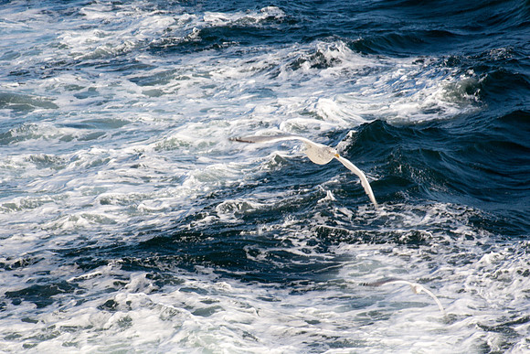 20141005 Sun 1 MA Martha's Vineyard 8T5A4045