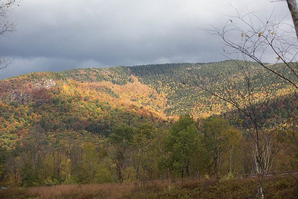 20141008 Wed 3 NH Conway 8T5A5077