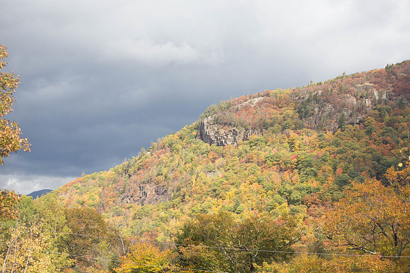 20141008 Wed 3 NH Conway 8T5A5107