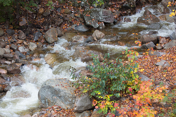 20141008 Wed 3 NH Conway 8T5A5126