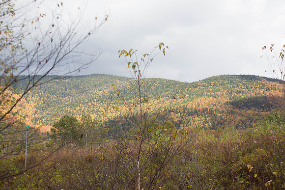 20141008 Wed 3 NH Conway 8T5A5075