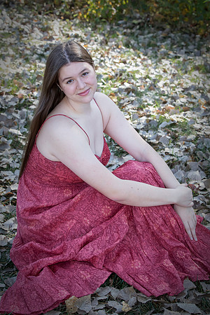 1191 20241019 AN0I0833
