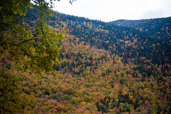 20141008 Wed 3 NH Conway 8T5A5217