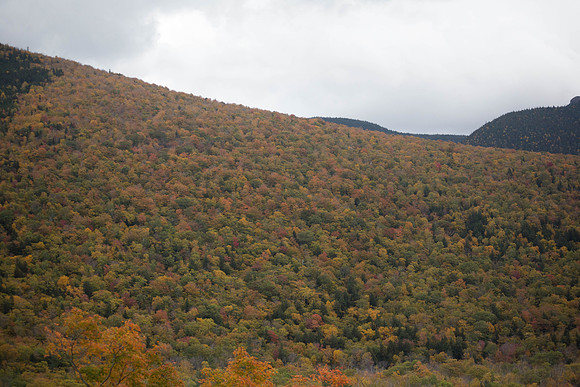 20141008 Wed 3 NH Conway 8T5A5161