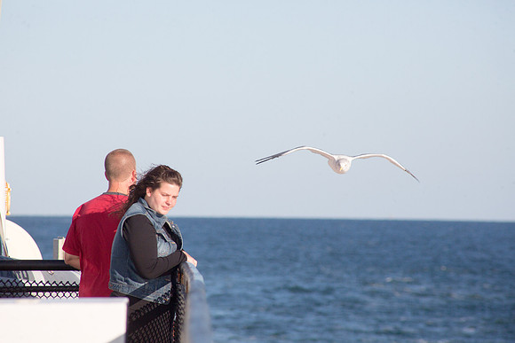 20141005 Sun 1 MA Martha's Vineyard 8T5A4119