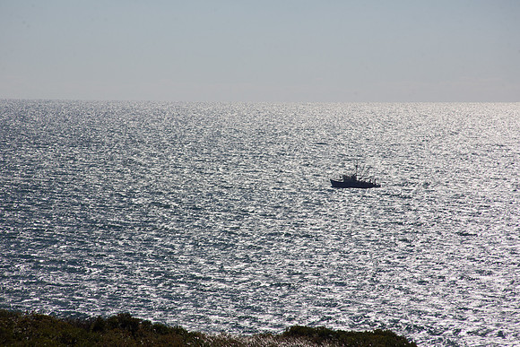 20141005 Sun 1 MA Martha's Vineyard 8T5A3937