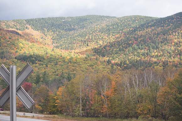 20141008 Wed 3 NH Conway 8T5A5099