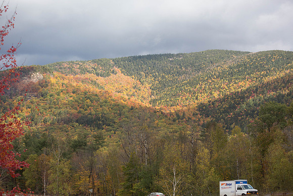 20141008 Wed 3 NH Conway 8T5A5081