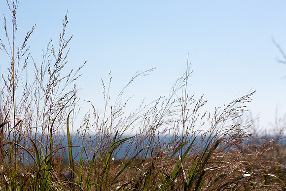 20141005 Sun 1 MA Martha's Vineyard 8T5A3952